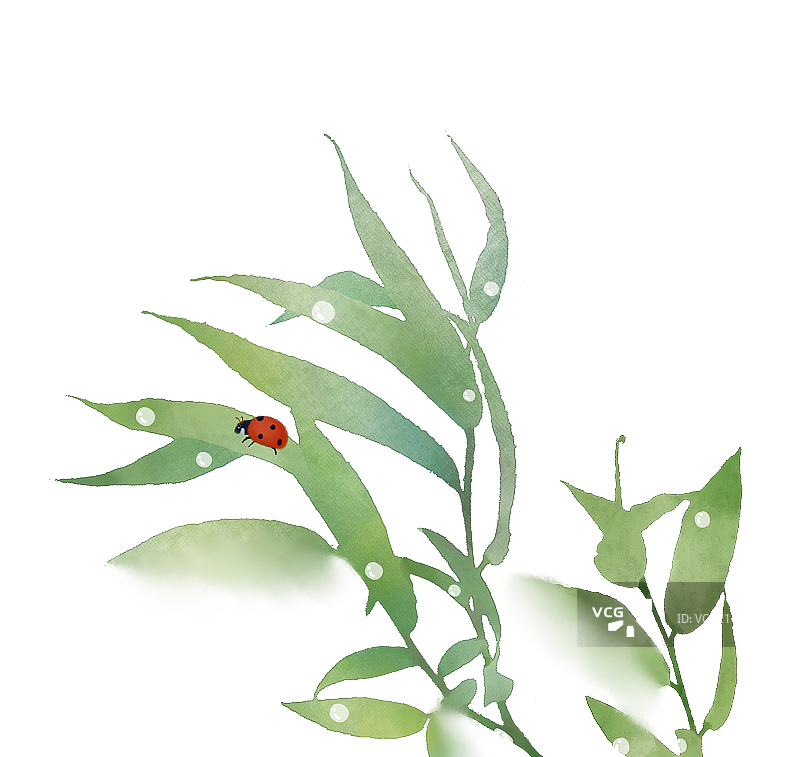 树叶瓢虫素材图片素材