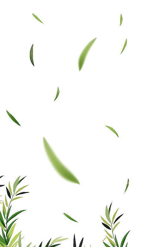 竹林叶子飘落插画图片素材