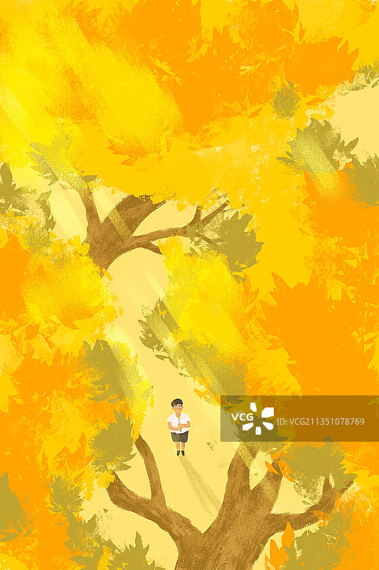 秋天秋分插画图片素材