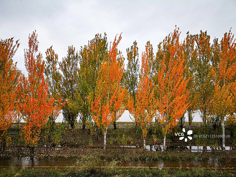 秋景如画图片素材