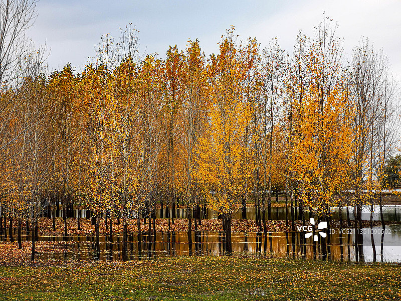 秋景如画图片素材