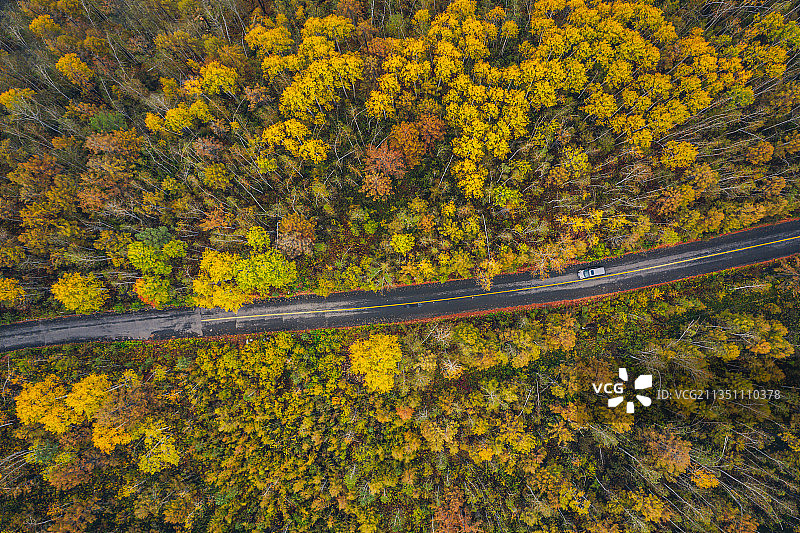航拍森林大兴安岭北方东北壁纸秋色秋季深秋金秋季节道路色彩旅行图片素材