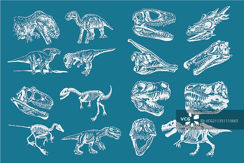 时尚的恐龙图形颜色集图片素材