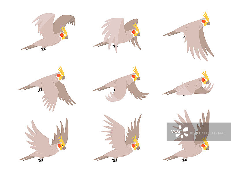 卡通凤头鹦鹉飞行动画帧图片素材