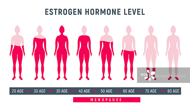 女性更年期雌激素水平图片素材