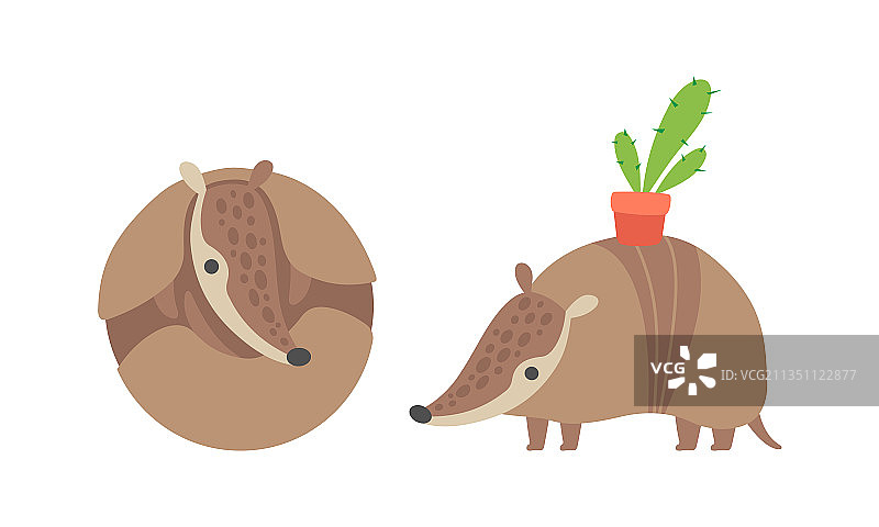 可爱的犰狳卡通形象，带有盔甲图片素材