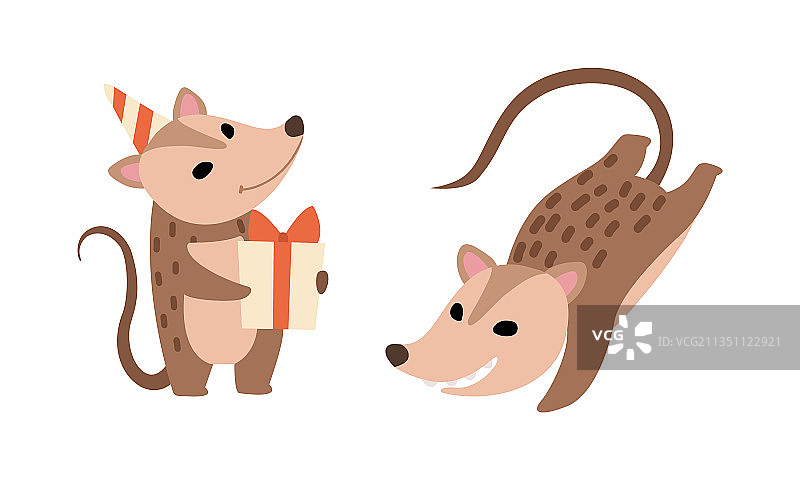 可爱负鼠动物抱着礼品盒跳跃图片素材