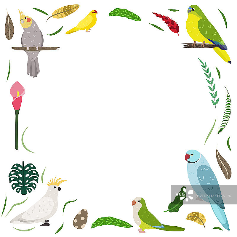 卡通热带异鸟框架模板图片素材