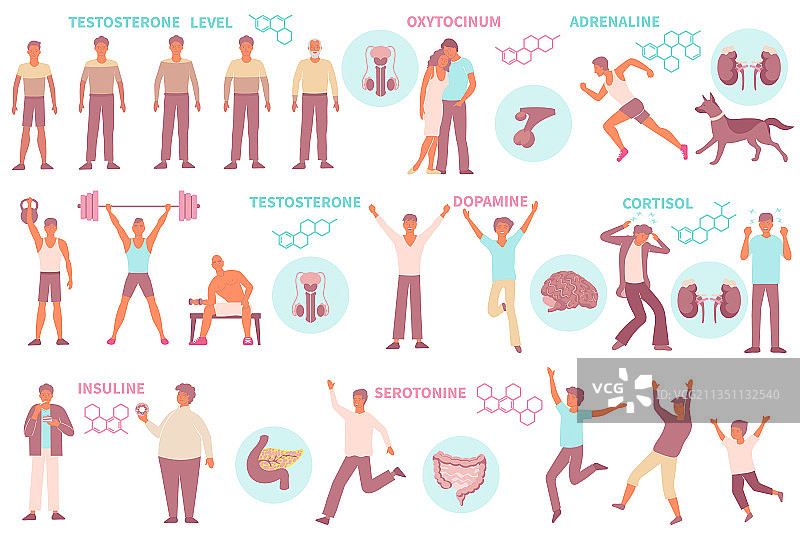男性荷尔蒙扁平化合集图片素材