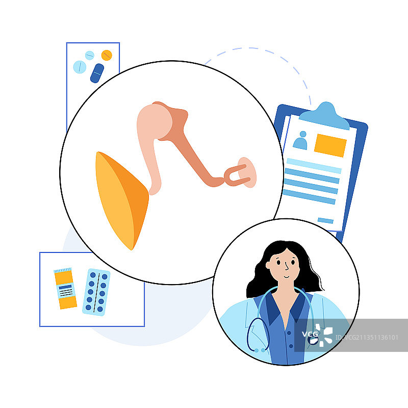 内耳解剖图片素材