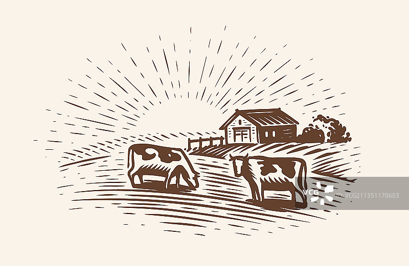 农场附近草地上吃草的奶牛（手绘）图片素材