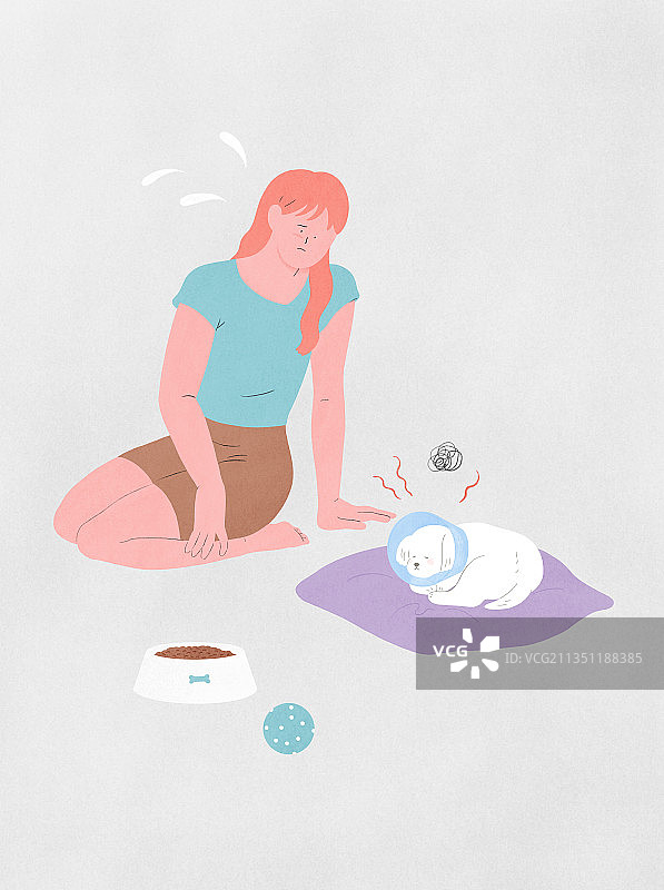 宠物狗，小狗，疾病，宠物颈部保护器图片素材