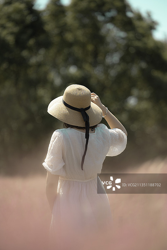 阳光下的法式浪漫图片素材