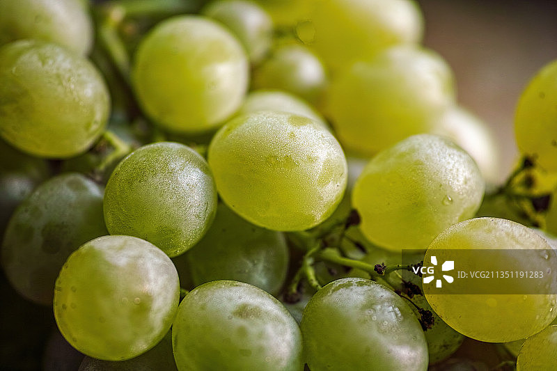 葡萄图片素材