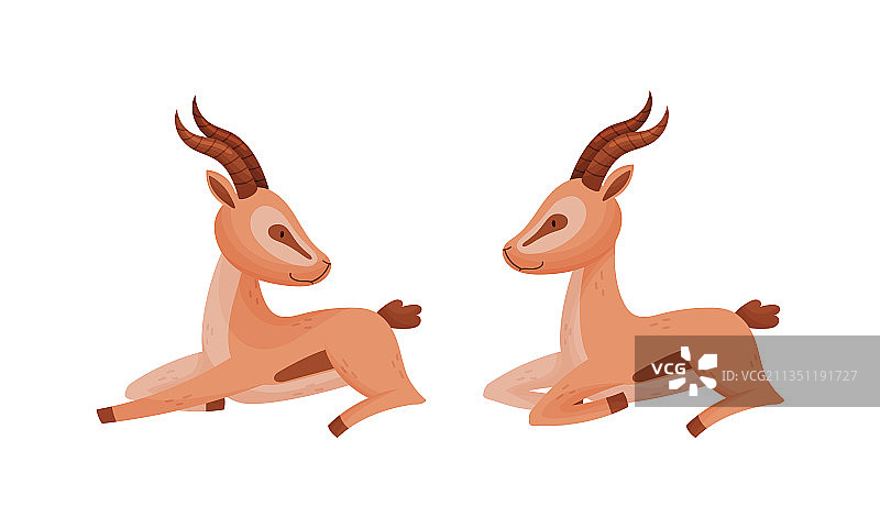 坐着的非洲瞪羚图片素材