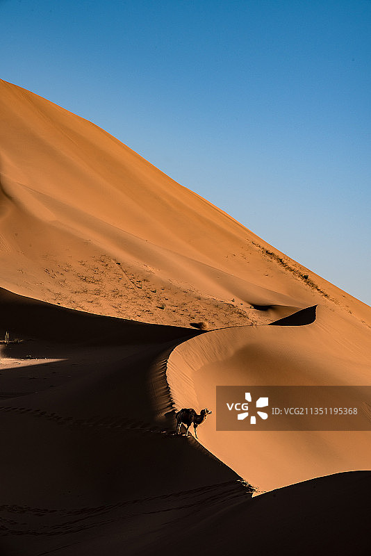 腾格里沙漠图片素材