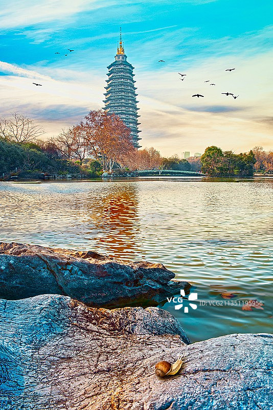 红梅公园图片素材