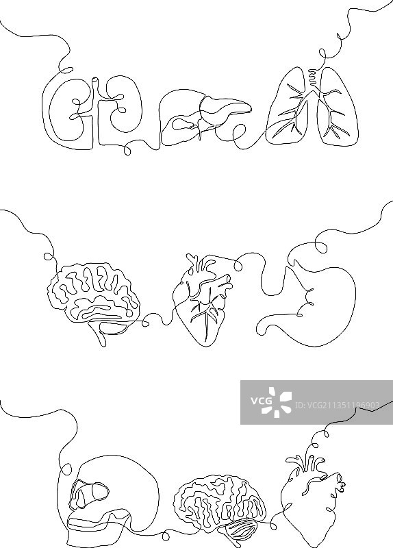 人体内脏单线艺术连续图案图片素材