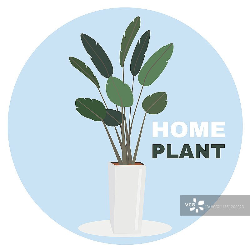 手绘盆栽绿色植物家居装饰图片素材