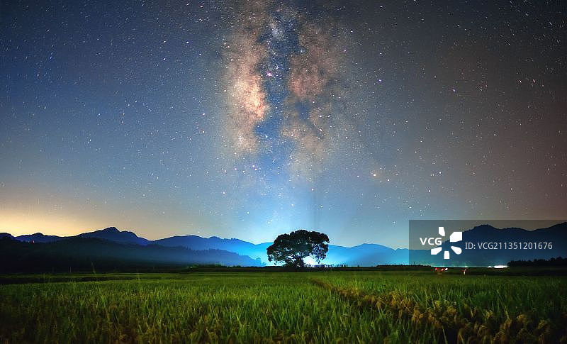 稻田上的星空银河图片素材