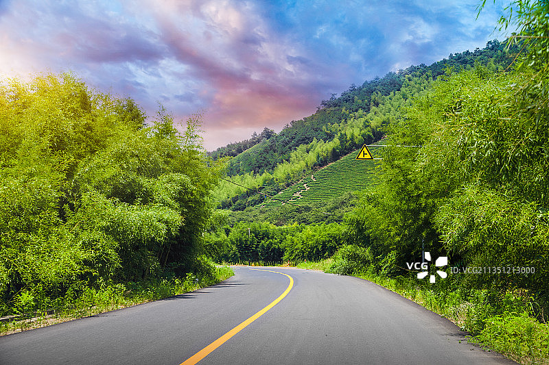 国道穿过竹林图片素材