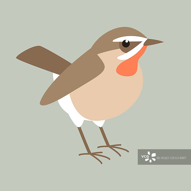 鹟鸟扁平风格侧视图图片素材
