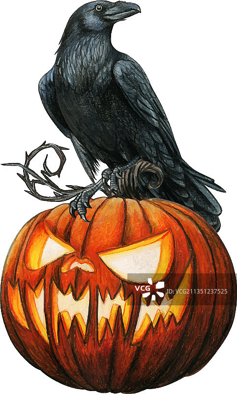 雕刻发光体上的水彩西方渡鸦图片素材