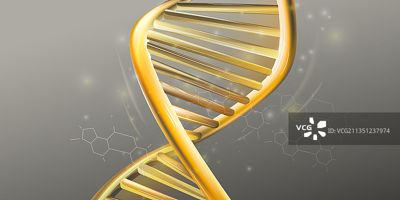 DNA金色双螺旋结构特写图片素材