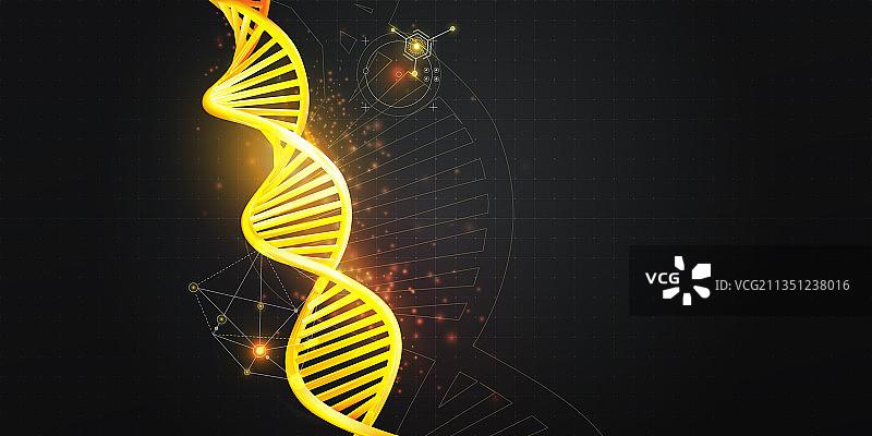 黑色背景上的金色DNA模型图片素材