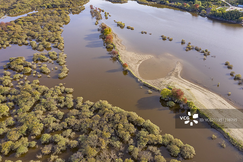 黑龙江伊春：嘉荫茅兰河湿地初秋图片素材