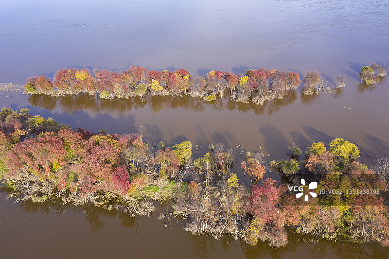 黑龙江伊春：嘉荫茅兰河湿地初秋图片素材