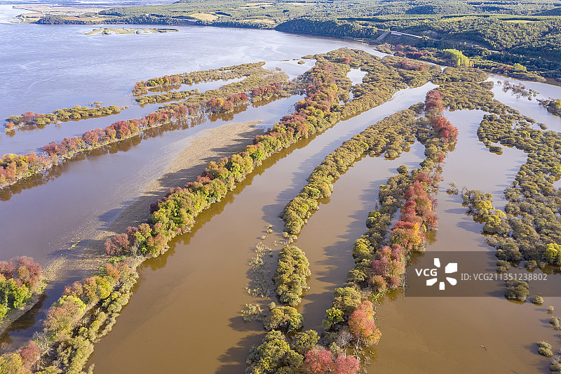 黑龙江伊春：嘉荫茅兰河湿地初秋图片素材