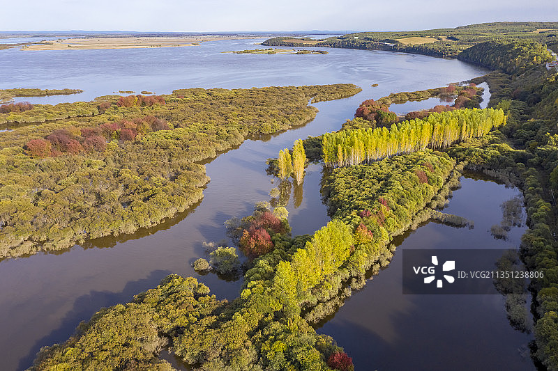 黑龙江伊春：嘉荫茅兰河湿地初秋图片素材