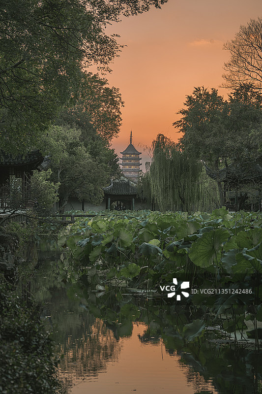 从拙政园遥望北寺塔图片素材