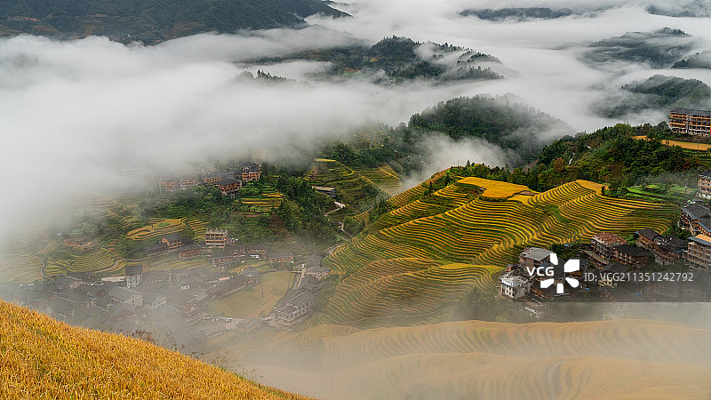 远眺高山雾茫茫   近观梯田稻谷黄图片素材