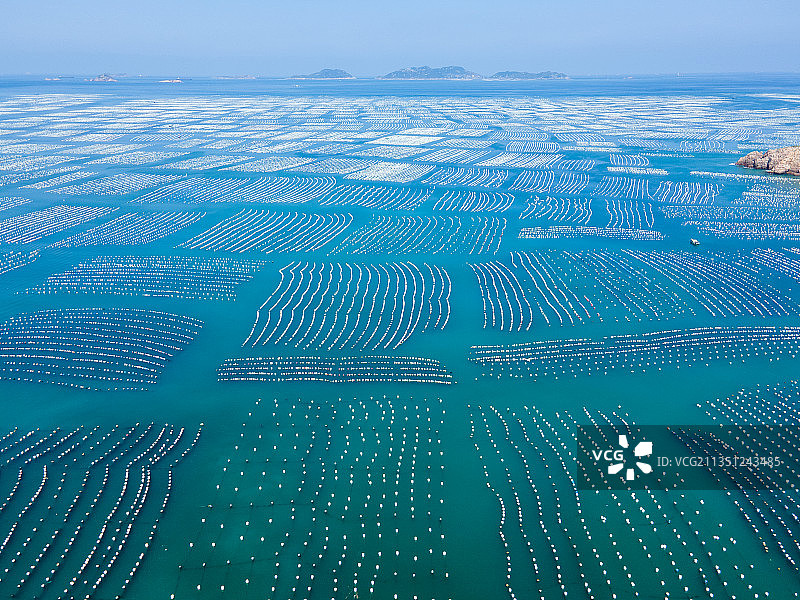 舟山枸杞岛贻贝养殖区图片素材
