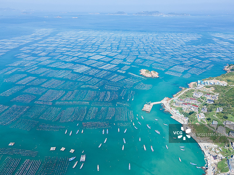 舟山枸杞岛贻贝养殖区图片素材