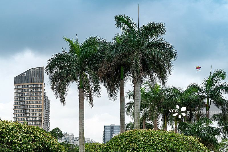 海口最大的开放性热带海滨生态园林－万绿园图片素材