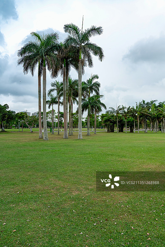 海口最大的开放性热带海滨生态园林－万绿园图片素材