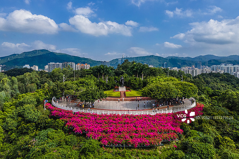 莲花山公园山顶，图片素材
