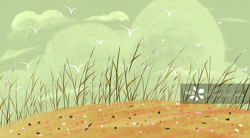 大自然芦苇丛插画背景图片素材