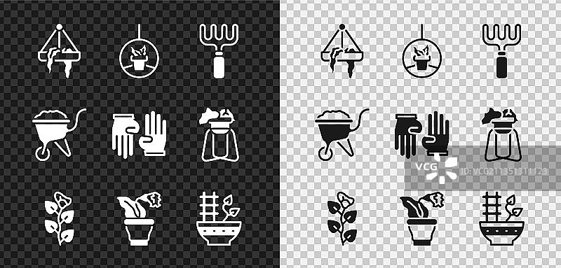 悬挂盆栽园艺耙常春藤图片素材