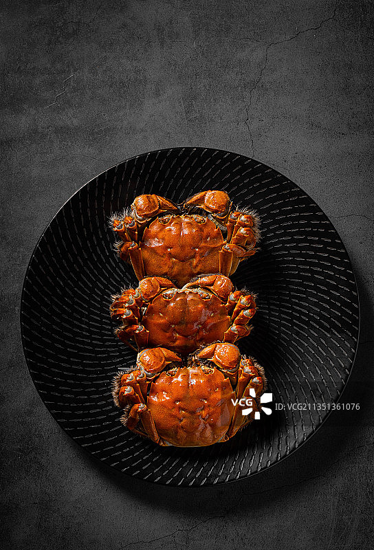 大闸蟹图片素材