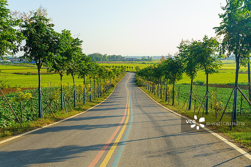 中国湖北襄阳一条有红黄蓝道路引导线的城乡公路图片素材