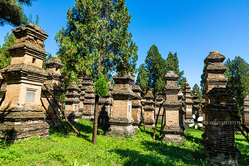 中国河南省郑州市登封嵩山少林寺塔林图片素材