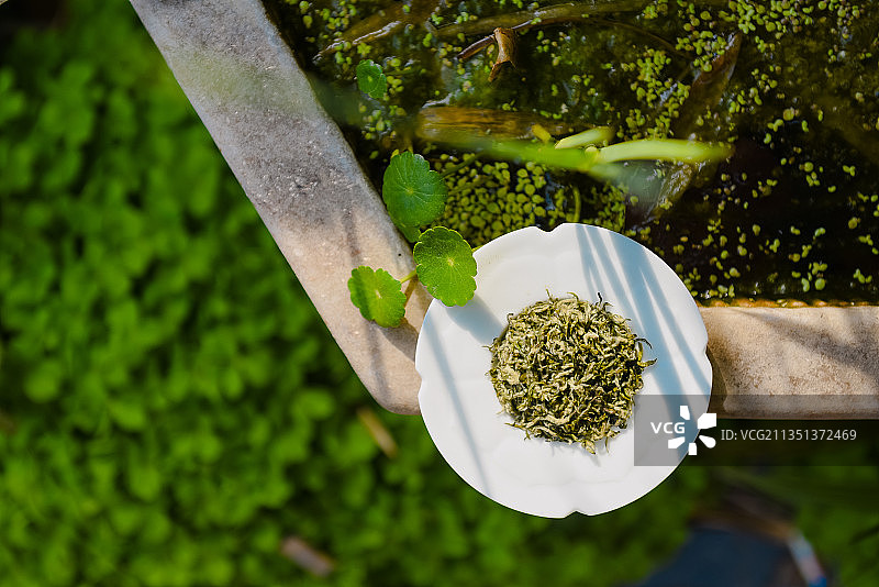 绿茶图片素材