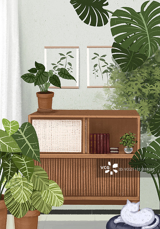 静物盆栽图片素材