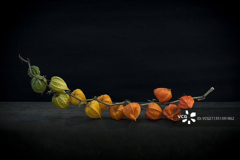 黑色背景下桌子上的鲜花特写图片素材