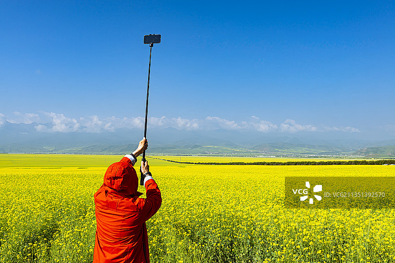 油菜花田拍照图片素材