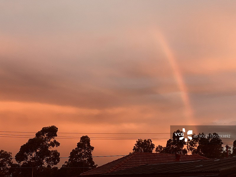 在澳大利亚新南威尔士州的Penrith日落时，树木的低角度剪影图片素材